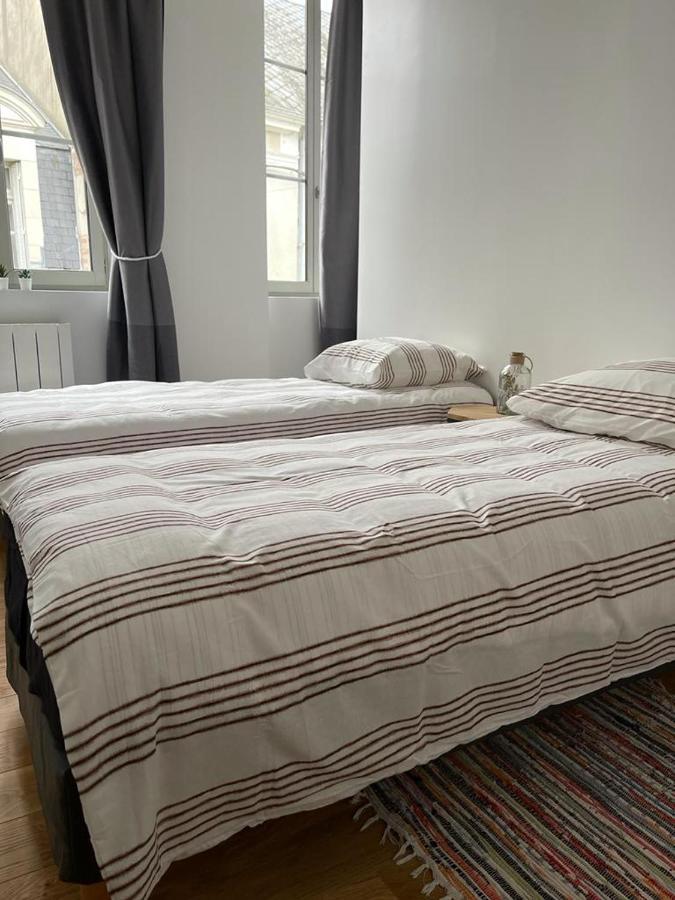 Les 3 Rois Apartment Romorantin-Lanthenay ภายนอก รูปภาพ